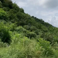 تهاتر زمین شهرکی با واحد اپارتمان در تهران|فروش زمین و ملک کلنگی|تهران, آبشار تهران (دریاچه)|دیوار