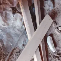 فروش چوب گردو خشک و بدون پوسیدگی|عمده‌فروشی|مهریز, |دیوار