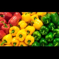 فروش یک مجموعه