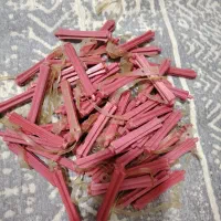 بیگودی فرشیش ماهه