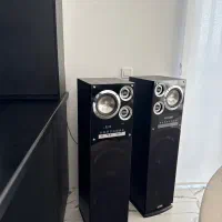 اسپیکر برند میکرولب