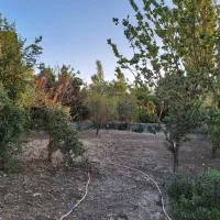 زمین خانه سری