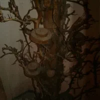 حراج بی سابقه وبررگ  دکوری جاشمعی تنه درخت