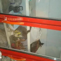 یخچال بزرگ الکترواستیل|فروشگاه و مغازه|اسفراین, |دیوار