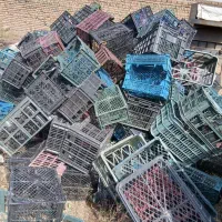 خرید سبد کارتون موزی  لاک بادی