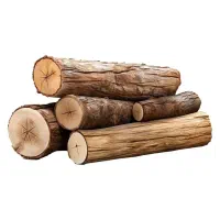 خدمات چوب بری و خرید و برش انواع چوبهای باغی