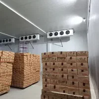 طراحی ساخت و تعمیرات انواع سردخانه تونل انجماد|خدمات پیشه و مهارت|کرمانشاه, |دیوار