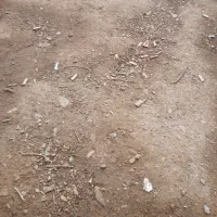 شهر آستانه قلعه حاجیا ۱۹۰متر زمین مسکونی