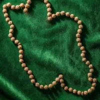 راننده سرویس آموزشگاها