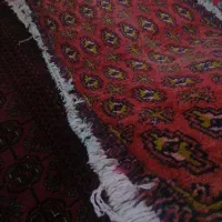 دست بافت قالیچه فرش|فرش|مشهد, شهرک امام هادی (شهرک غرب)|دیوار