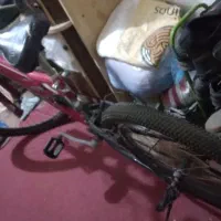 دوچرخه 24|دوچرخه، اسکیت، اسکوتر|بوشهر, |دیوار