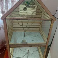 قفس پرنده بزرگ