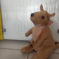 عروسک|اسباببازی|کرمانشاه, |دیوار