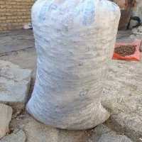 فروش بلوط، با پوست و بدون پوست|لوازم جانبی حیوانات|گچی, |دیوار