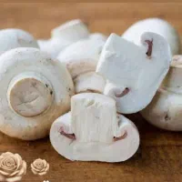 قارچ خوراکی ارگانیک