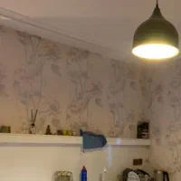 کابینت سینگ