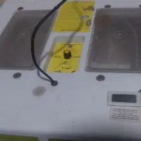 ۴۸ تایی هست سالم بدون عیب دستگاه جوجه کشی|لوازم جانبی حیوانات|سراوان, |دیوار