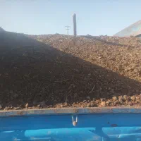 کود گوسفندی|خدمات باغبانی و درختکاری|تبریز, |دیوار