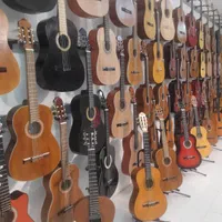 انواع مدل های گیتار (مهریز)