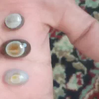 باباقوری