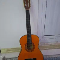 گیتار مینی، برند، نیاز به تعمیر