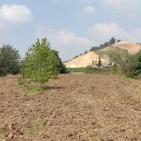زمین-کشاورزی-با-موقعیت-تجاری-صنعتی-جاده-زرندین