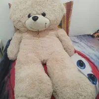 خرس بزرگ|اسباب‌بازی بچه|هشتگرد, شهرک آپادانا|دیوار