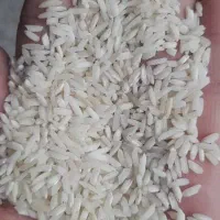 برنج هاشمی|خوردنی و آشامیدنی|زنجان, |دیوار