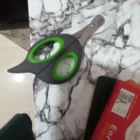 واگذاری گربه|گربه|اندیشه, اندیشه فاز ۲|دیوار