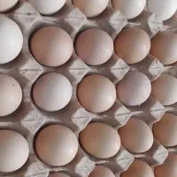 تخم مرغ محلی موجود است