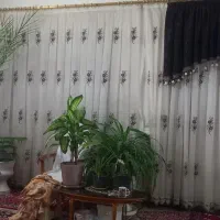 پرده ی ترک قیمت خیلی خیلی مناسب