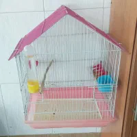 قفس سهره و قناری برای تمام پرندگان ریز جثه|لوازم جانبی حیوانات|فردیس, شهرک هفده شهریور|دیوار