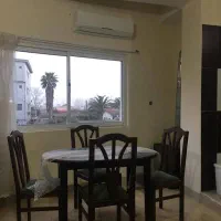 آپارتمان نقلی پلاک دو دریا 55متر تک خواب