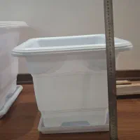 گلدان بزرگ|گل و گیاه طبیعی|تهران, سازمان برنامه شمالی|دیوار