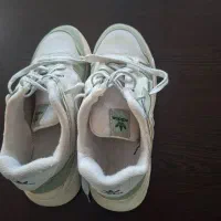 کفش|کیف، کفش، کمربند|شاهین‌شهر, شهرک میلاد|دیوار