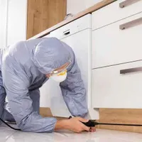 سمپاشی تضمینی منازل،محل کار و باغات ساس،سوسک وغیره|خدمات نظافت|کرج, حصارک|دیوار