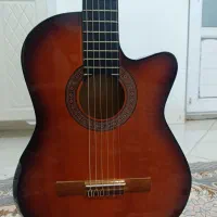 گیتار با کیف خود گیتار|گیتار، بیس، امپلیفایر|ملایر, |دیوار