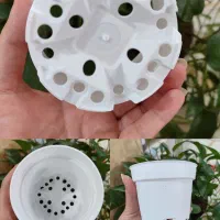 گلدان پلاستیکی