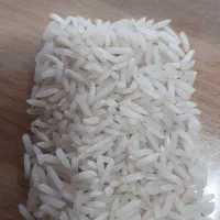 برنج محلی هاشمی