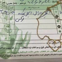 فروش طلا دست دوم و در حد نو|جواهرات|اهواز, زردشت|دیوار
