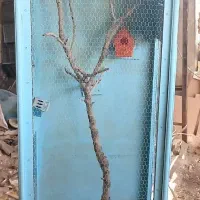 قفس چوبی دستساز