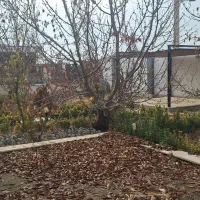 ویلا-باغ-جنگلی-سهیلیه-چاه-شخصی-و-کنتور