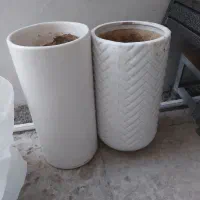 گل وگیاه طبیعی