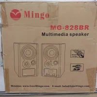 اسپیکر مجلسی