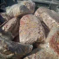 پای مرغ ضایعات وتمیز