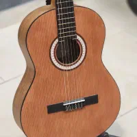 گیتار پارسی m3