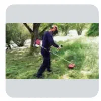 علف تراشی  -   هرس درختان و گیاهان