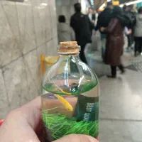 مجوز و جواز کار. هم خانگی هم تجاری اداری