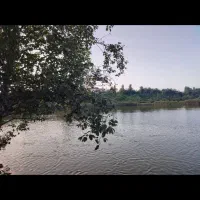 اجاره استخر ماهی ۳ هکتار برجاده /سوددهی عا،لی|فروش دفتر صنعتی، کشاورزی، تجاری|شفت, |دیوار