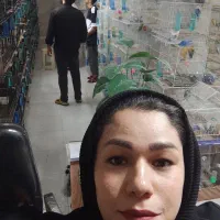 قفس طوطی سانان جوجه کوتوله عروس قناری مرغ عشق